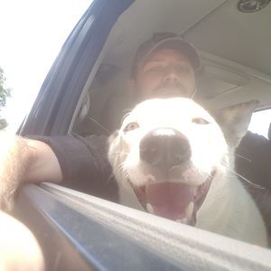 Meet your Posher, Donald